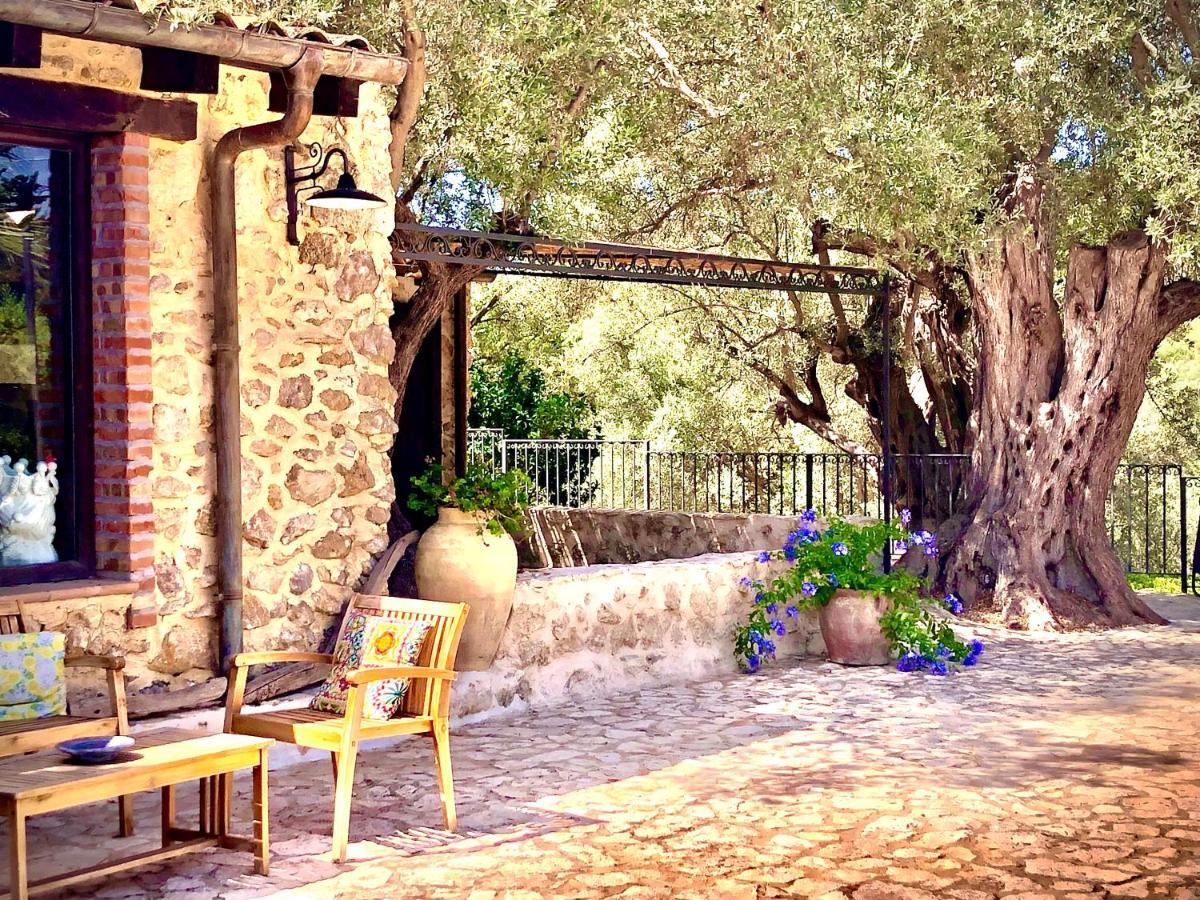 Agriturismo Roba Degli Ulivi Villa อากริเจนโต ภายนอก รูปภาพ